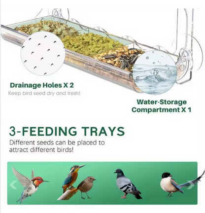 Window Bird Feeder